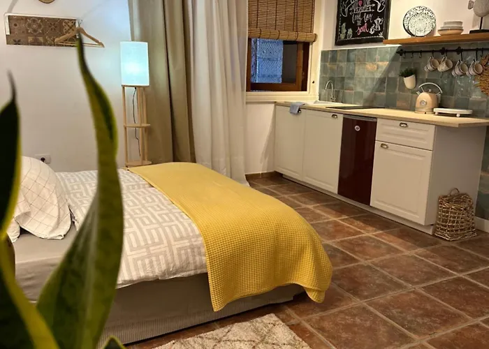 Boutique Leicht & Friends 4* 아데제